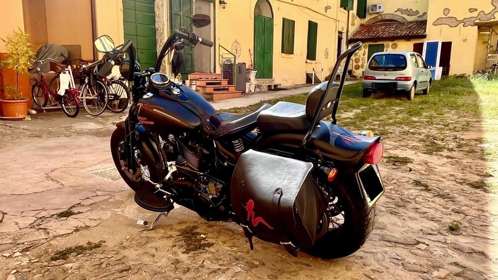 Harley-Davidson 1584 Cross Bones (2008 - 11) - FLSTSB (7)