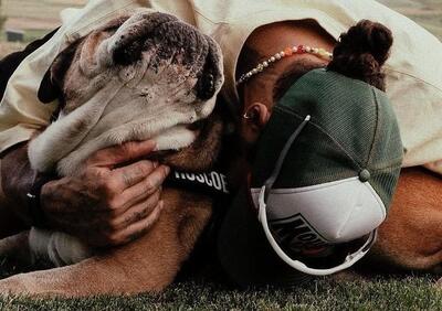Roscoe non ce l'ha fatta, Hamilton dà il triste annuncio: La decisione più dura della mia vita