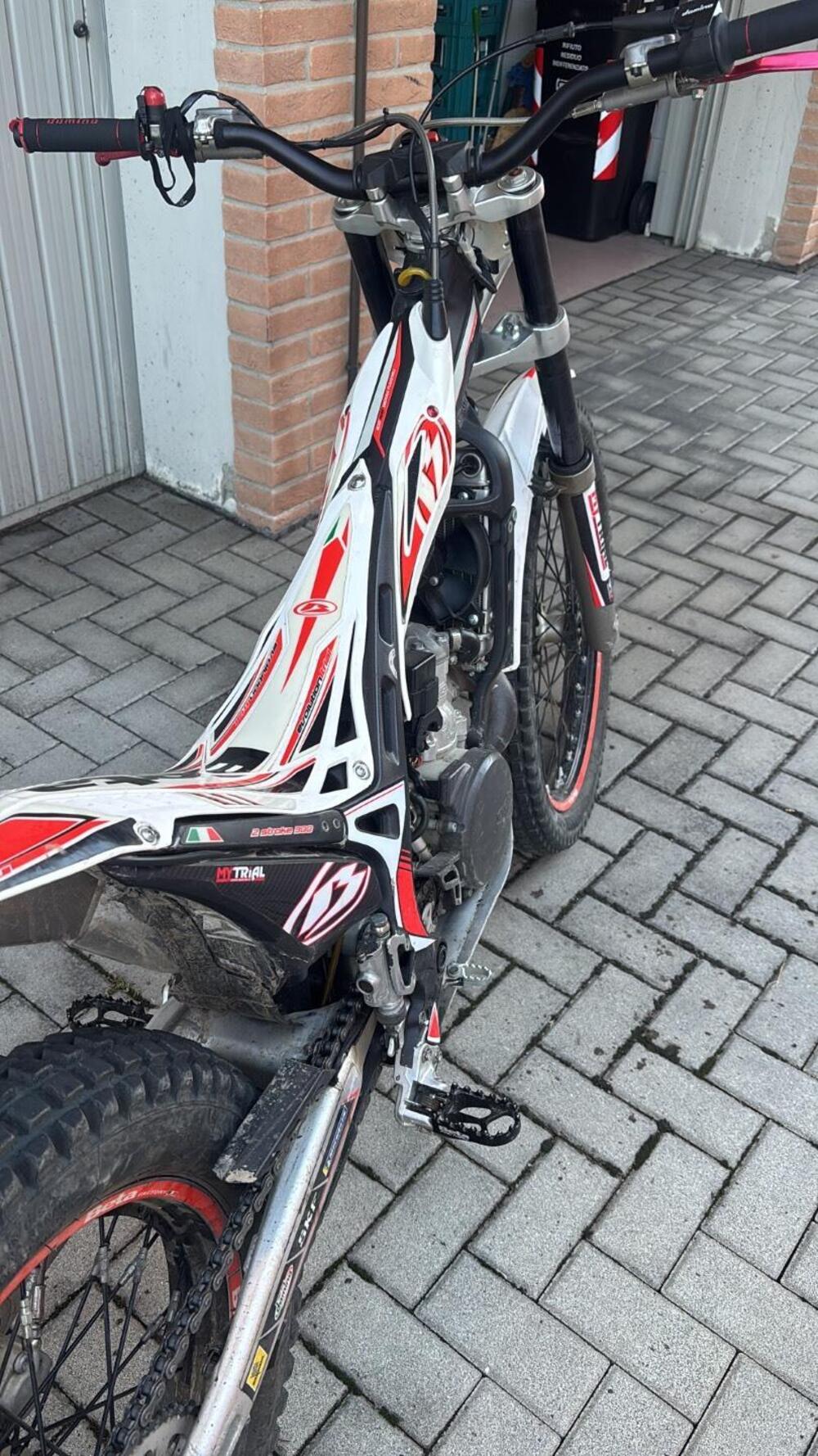 Betamotor Evo 290 2t (2011 - 12) (3)