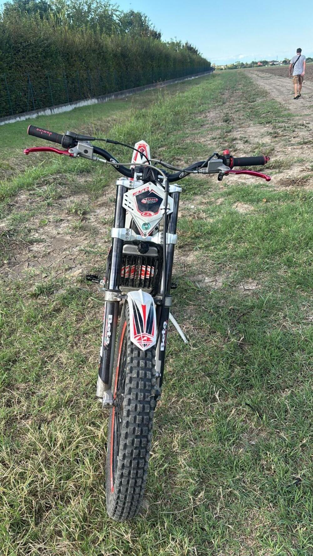 Betamotor Evo 290 2t (2011 - 12) (6)