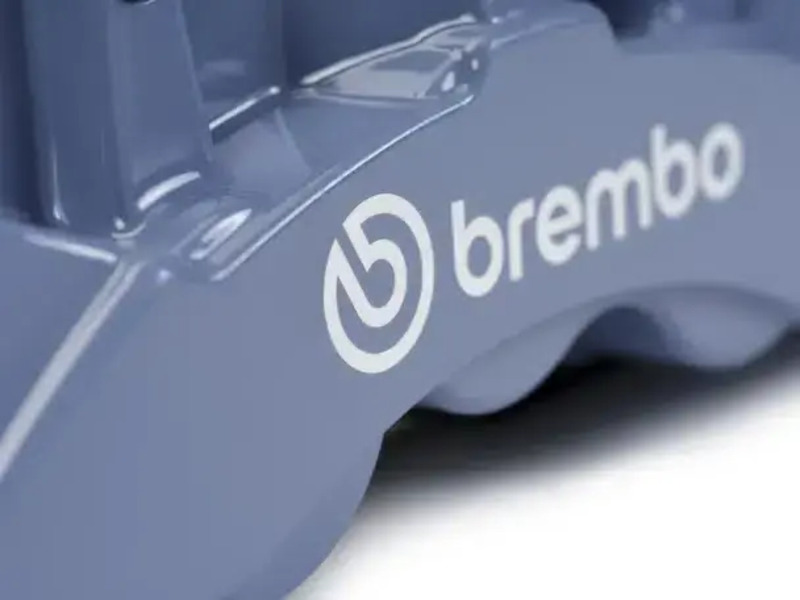 Dettaglio pinza Brembo