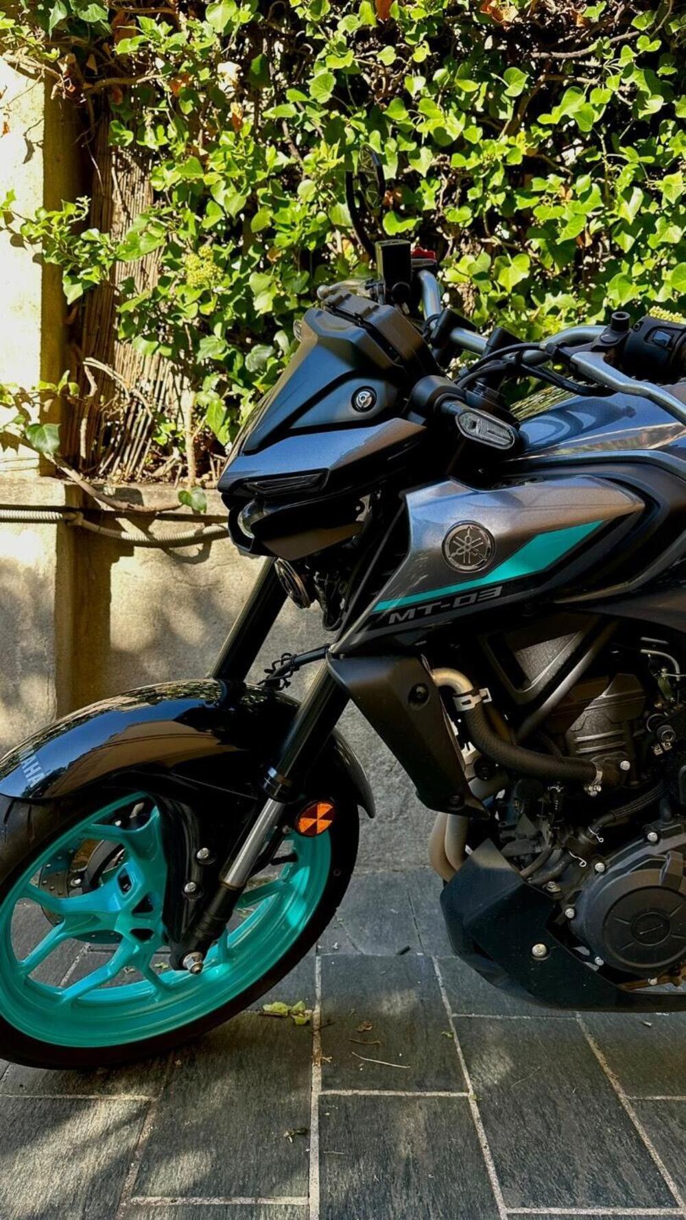 Yamaha MT-03 (2022 - 24) (5)