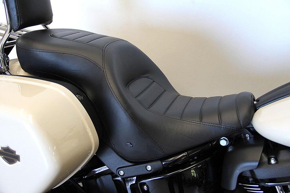 Harley-Davidson Low Rider ST (2022 - 24) (8)