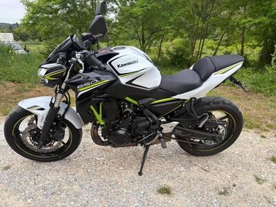 Kawasaki Z 650 (2020) usata