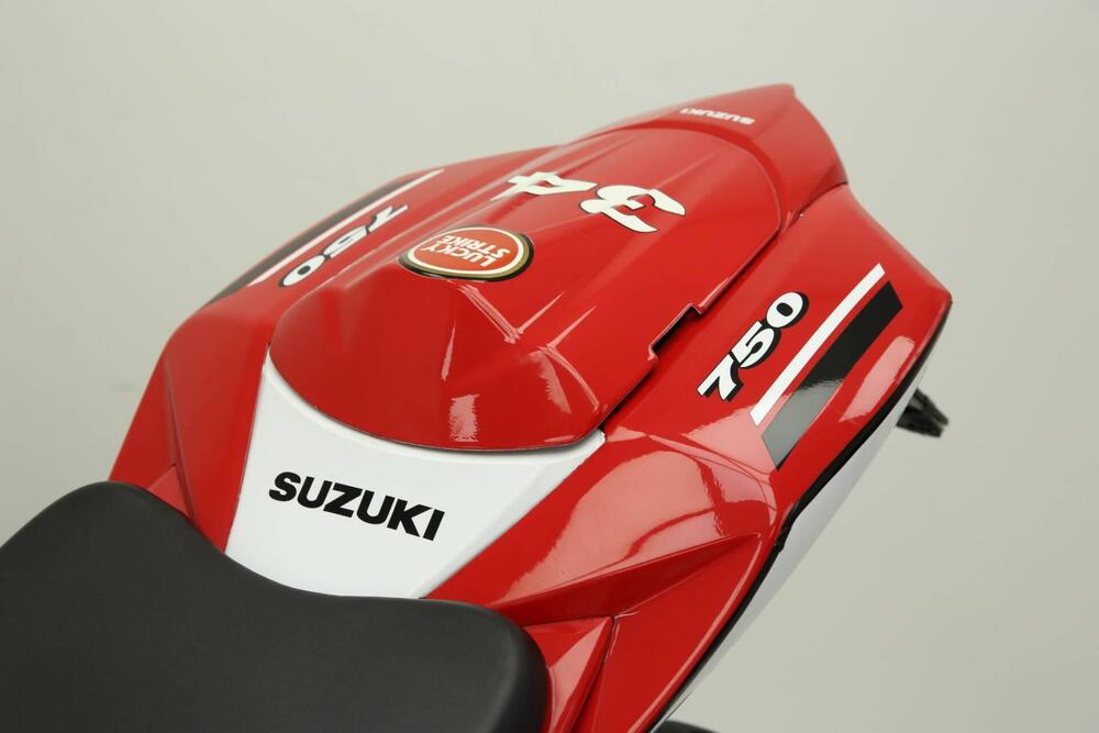 Suzuki GSX R 750 (2008 - 10) (11)