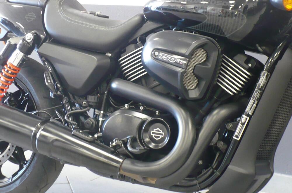 Harley-Davidson 750 Street Rod (2017 - 20) - XG 750 (8)