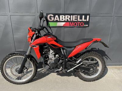 Betamotor Alp 4.0 (2024 - 25) usata