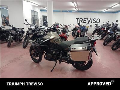 Triumph Tiger 1200 Desert Edition (2020) usata