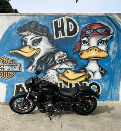 Harley-Davidson Nightster Special (2023 - 25) usata