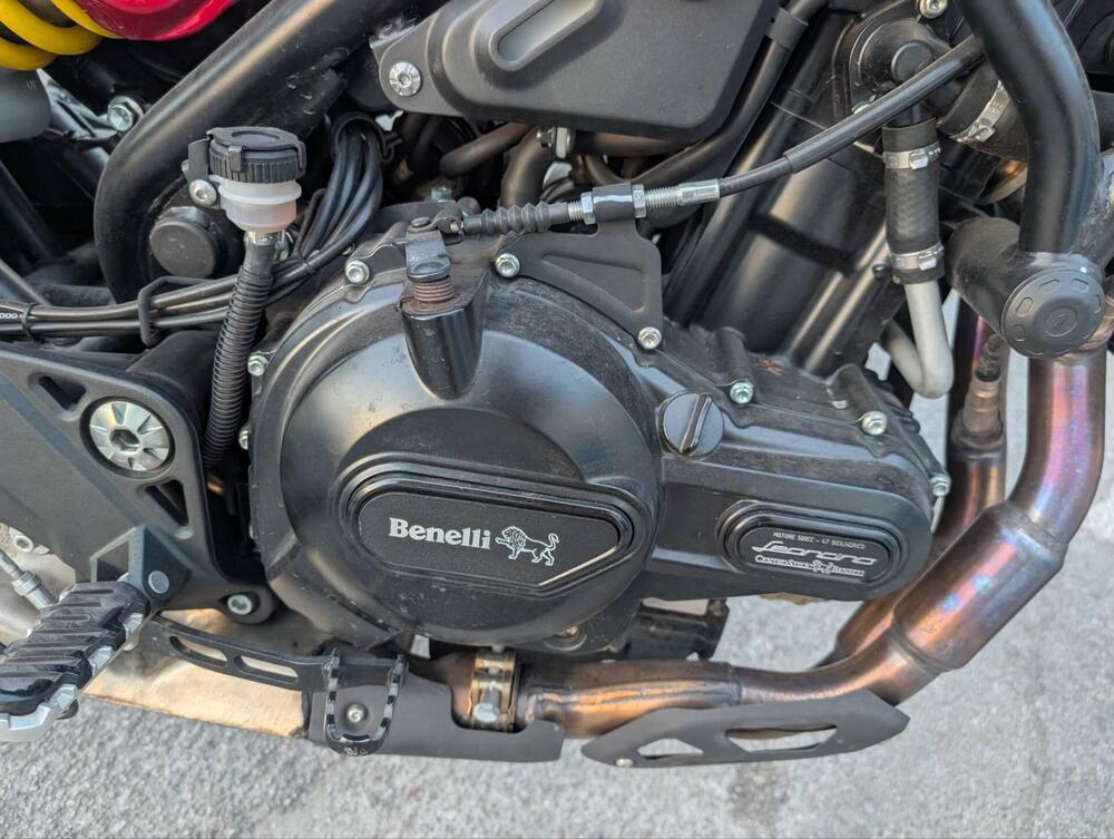 Benelli Leoncino 500 Trail (2021 - 25) (4)