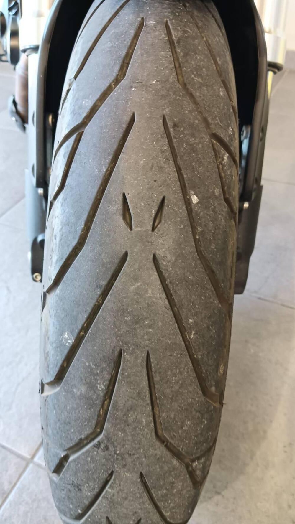 Benelli Leoncino 500 (2021 - 25) (8)