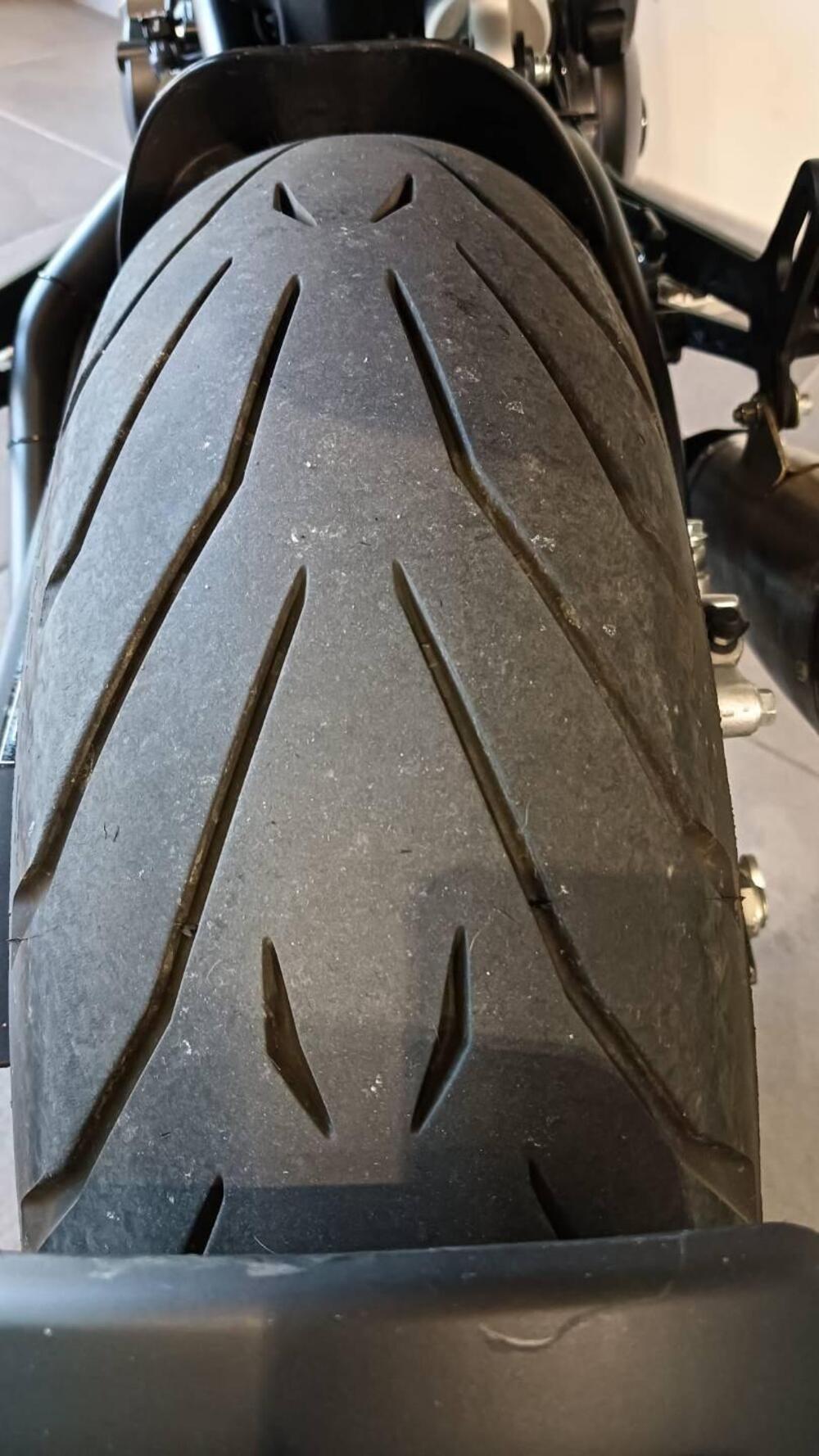 Benelli Leoncino 500 (2021 - 25) (7)