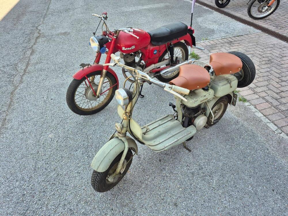 Benelli LEONCINO 125 (2)