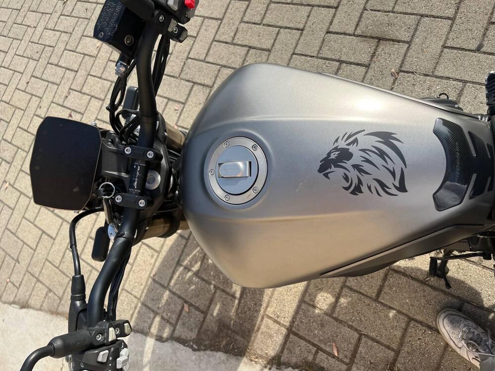 Benelli Leoncino 800 (2022 - 26) (5)