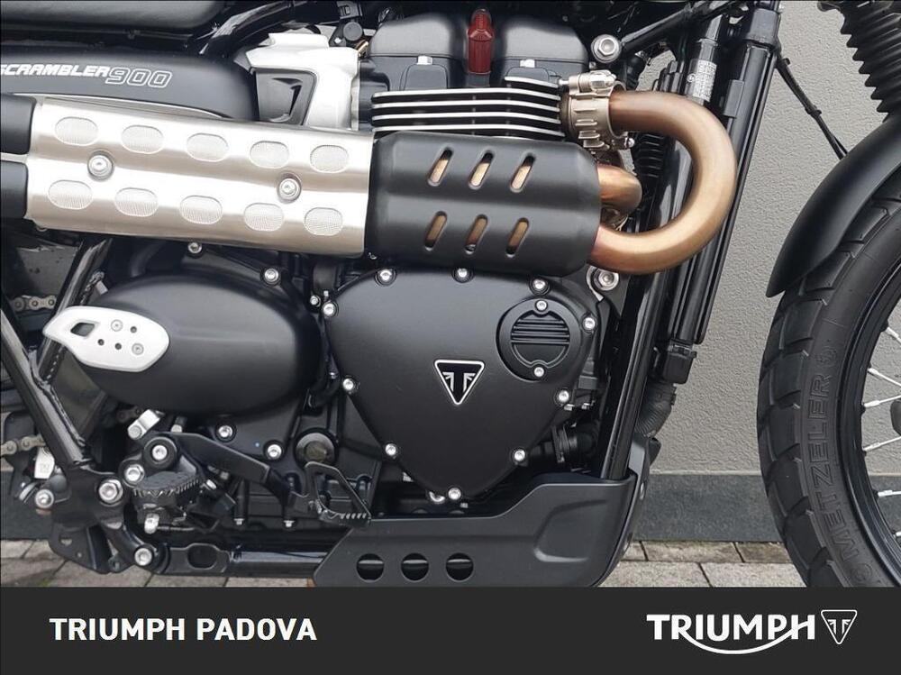 Triumph Scrambler 900 (2023 - 25) (3)