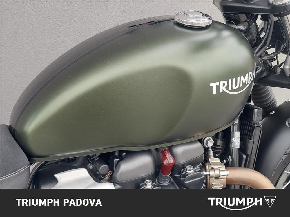Triumph Scrambler 900 (2023 - 25) (4)