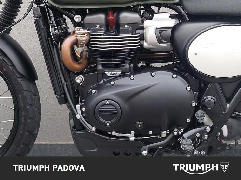 Triumph Scrambler 900 (2023 - 25) (8)
