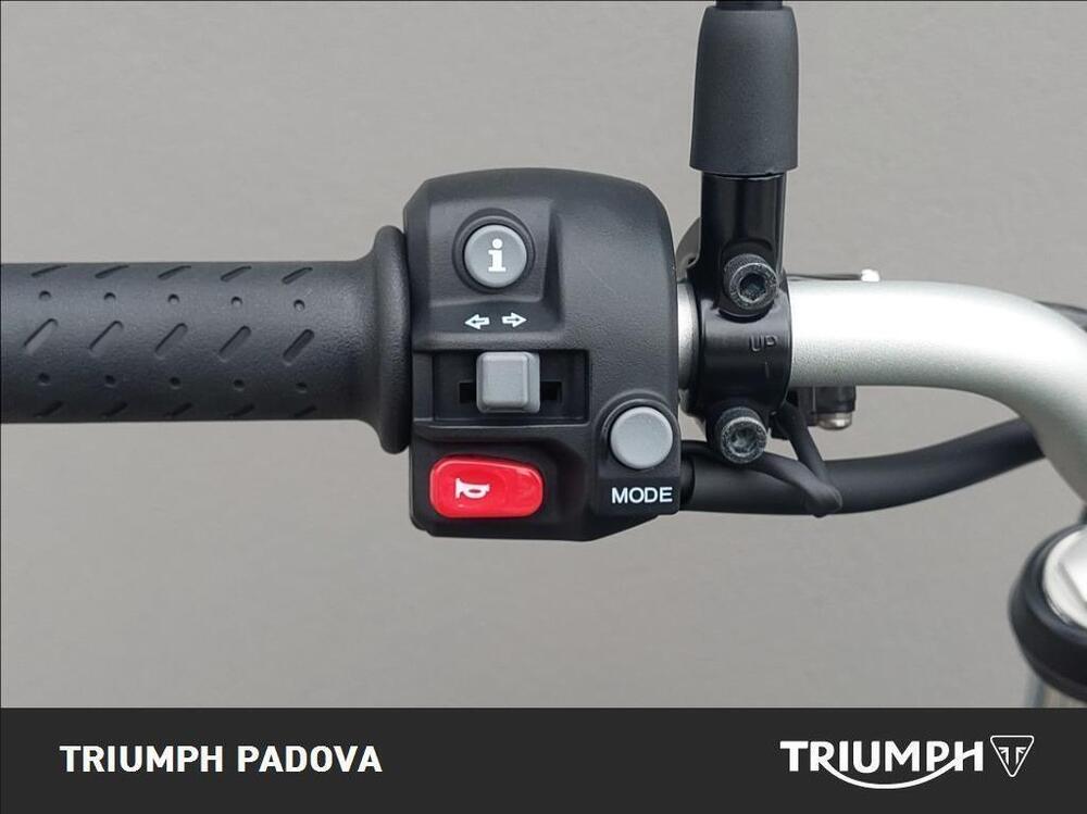 Triumph Scrambler 900 (2023 - 25) (12)