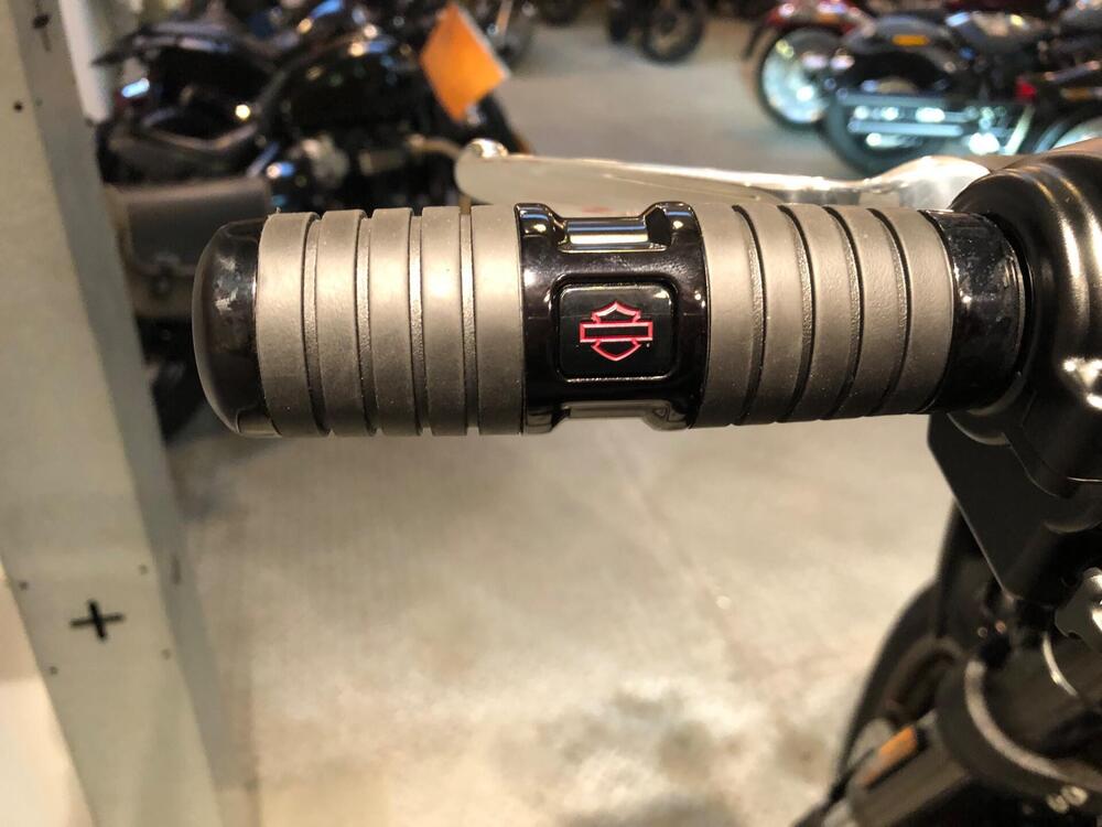 Harley-Davidson Low Rider S (2022 - 24) (7)