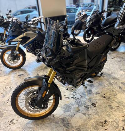 Voge Valico 800DSX Rally (2025) nuova