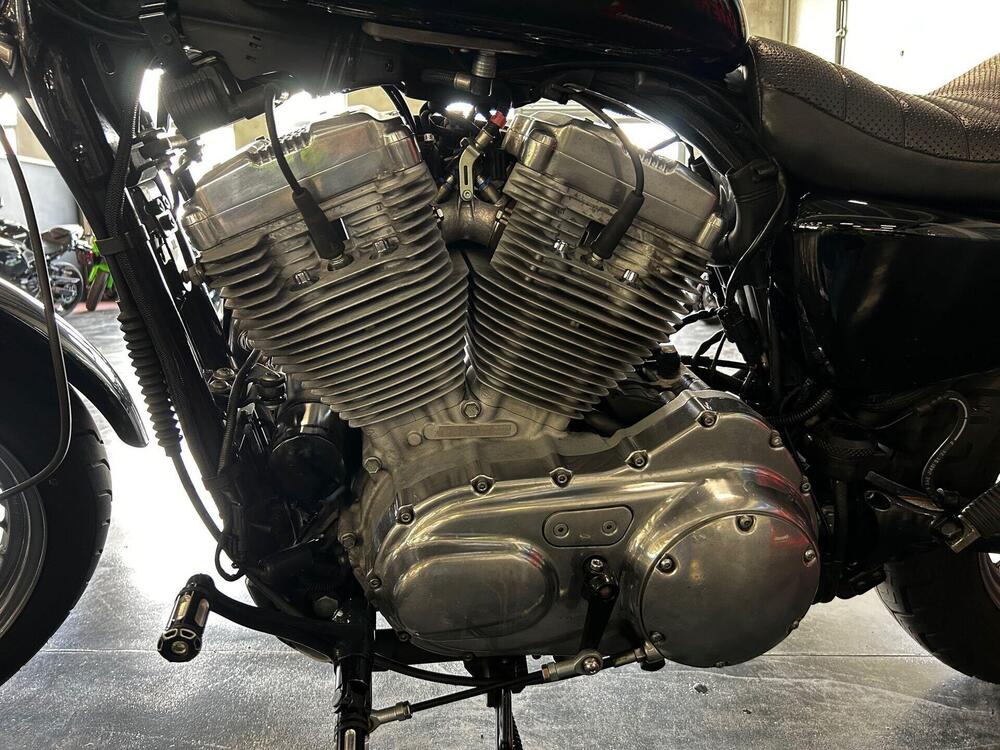 Harley-Davidson 883 Low (2006 - 07) - XL 883L (8)