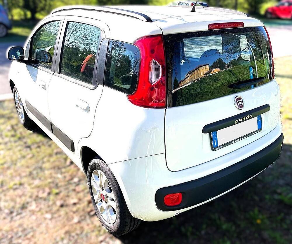 Fiat Panda usata a Monza e Brianza (2)