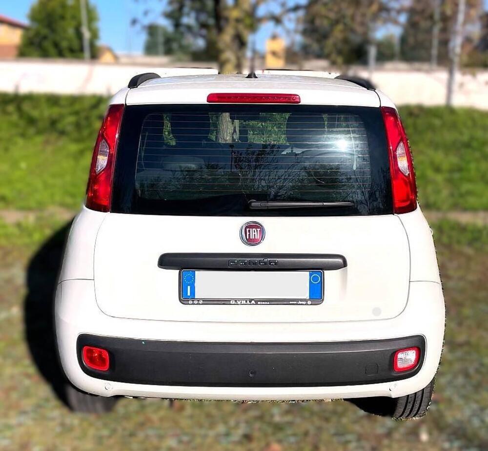 Fiat Panda usata a Monza e Brianza (3)