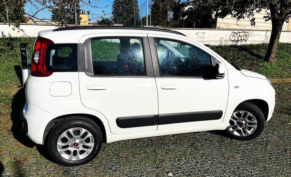 Fiat Panda usata a Monza e Brianza (15)