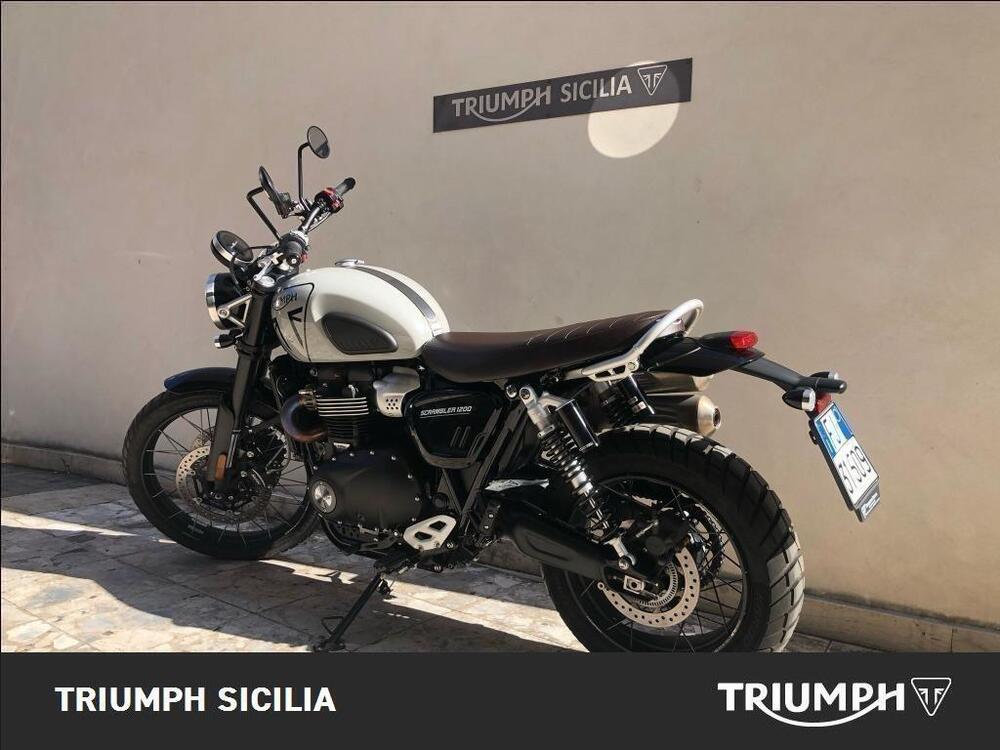 Triumph Scrambler 1200 X (2024 - 25) (6)