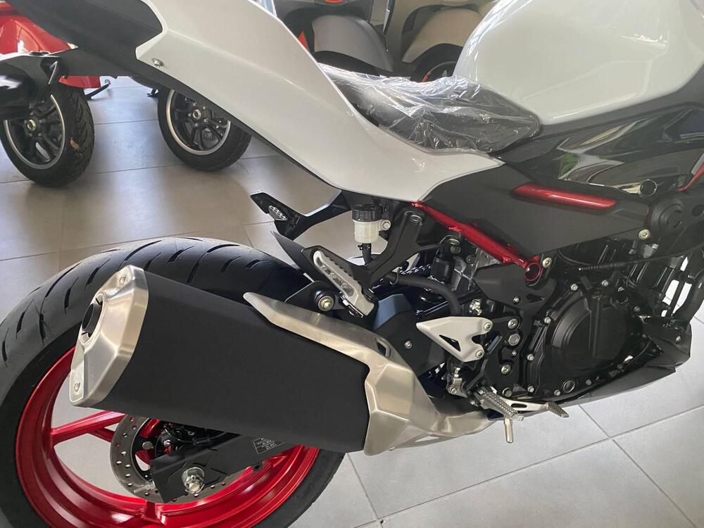 Kawasaki Z 500 (2024 - 26) (6)