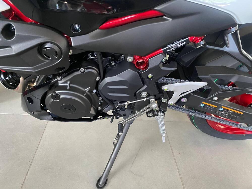 Kawasaki Z 500 (2024 - 26) (7)
