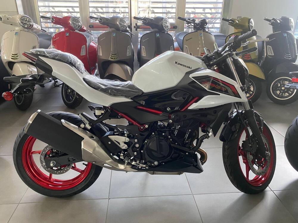 Kawasaki Z 500 (2024 - 26) (2)