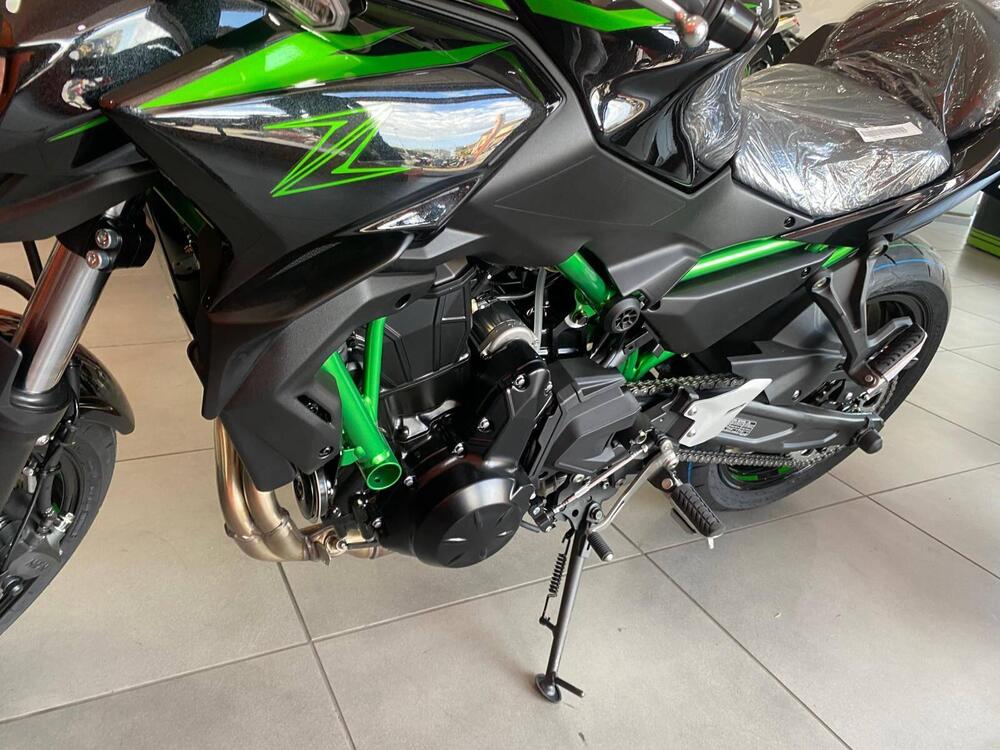 Kawasaki Z 650 (2025 - 26) (8)