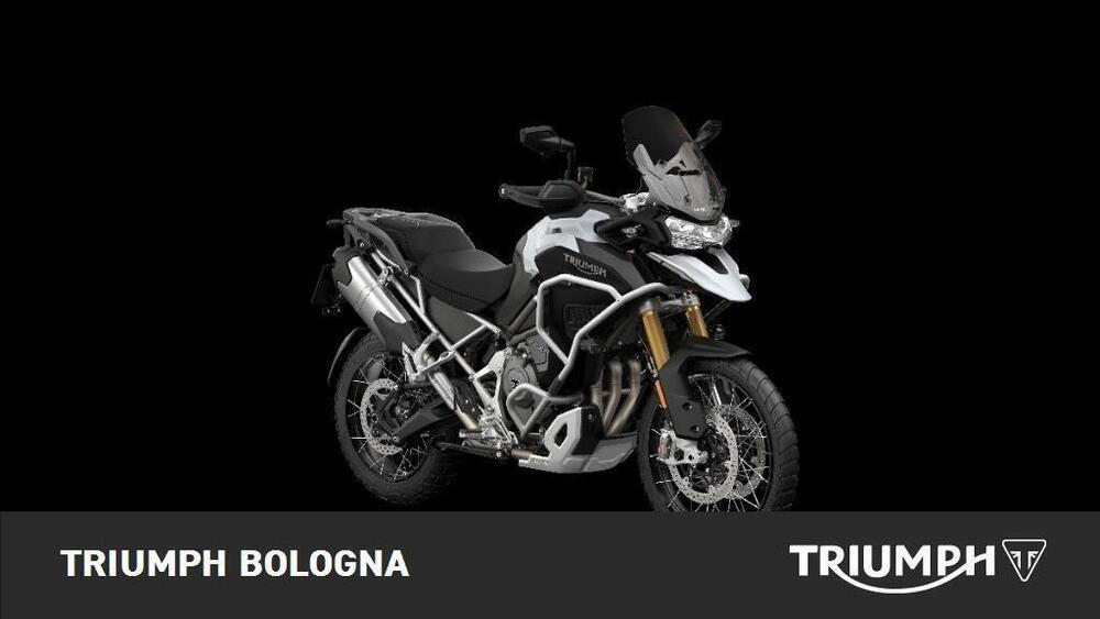 Triumph Tiger 1200 Rally Explorer (2022 - 23) (3)