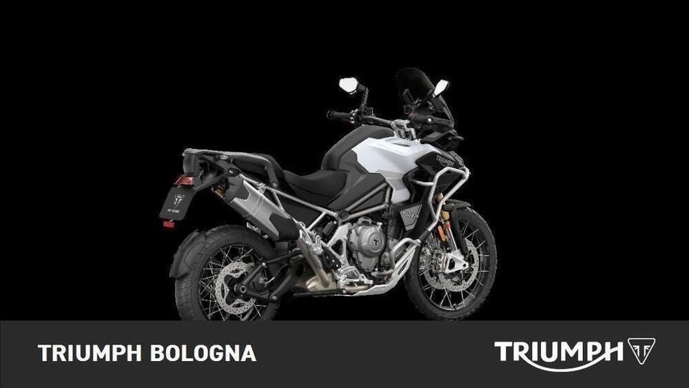 Triumph Tiger 1200 Rally Explorer (2022 - 23) (4)
