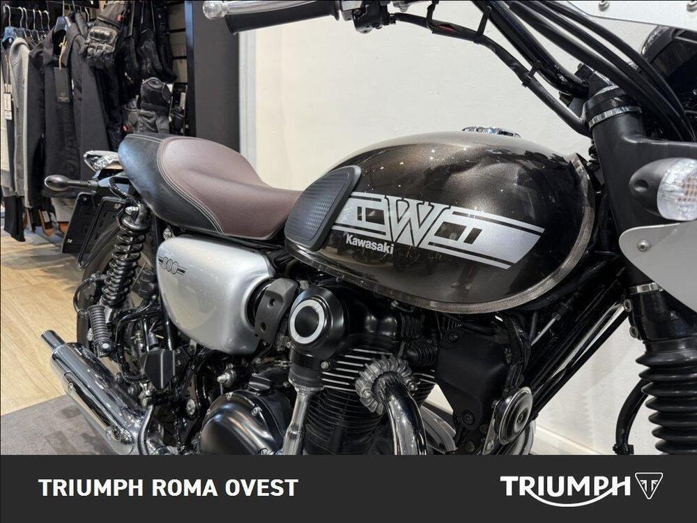 Kawasaki W 800 Cafè (2019 - 21) (12)