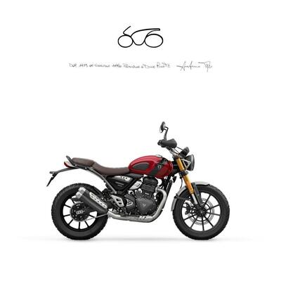 Triumph Scrambler 400 X (2024 - 25) usata