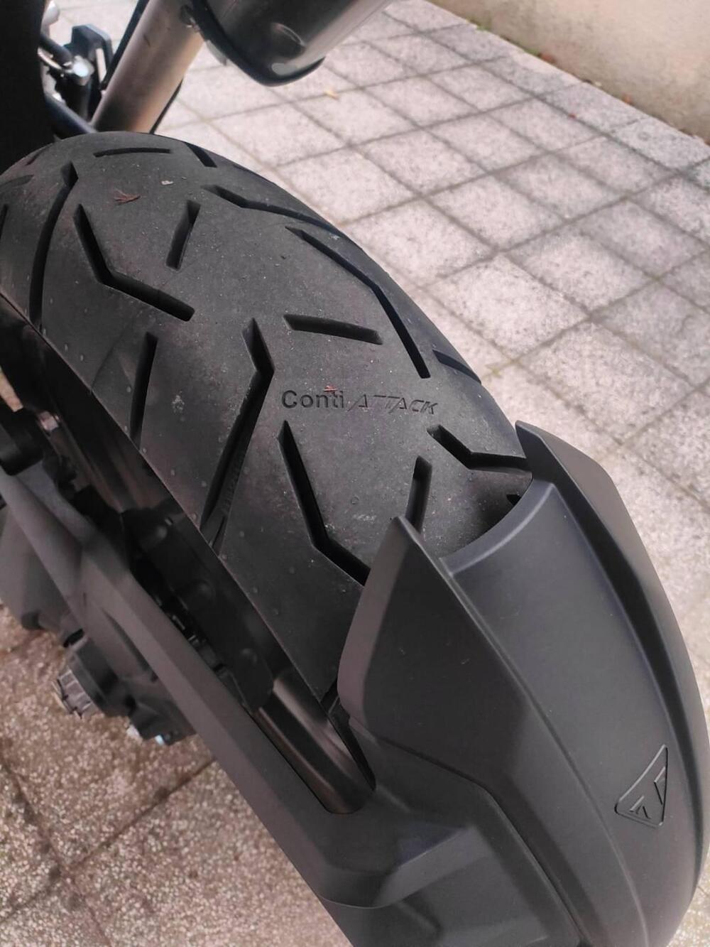 Triumph Tiger 1200 GT Pro (2022 - 23) (5)