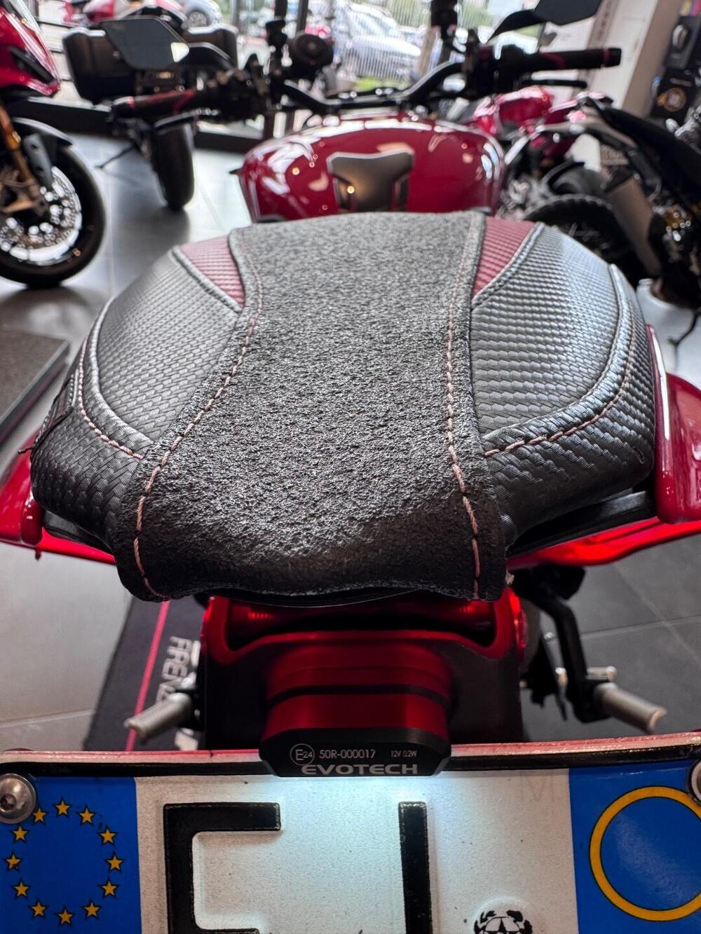 Ducati Streetfighter V4 S (2023 - 24) (15)