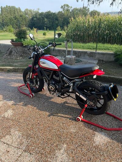 Ducati Scrambler 800 Icon (2021 - 22) usata