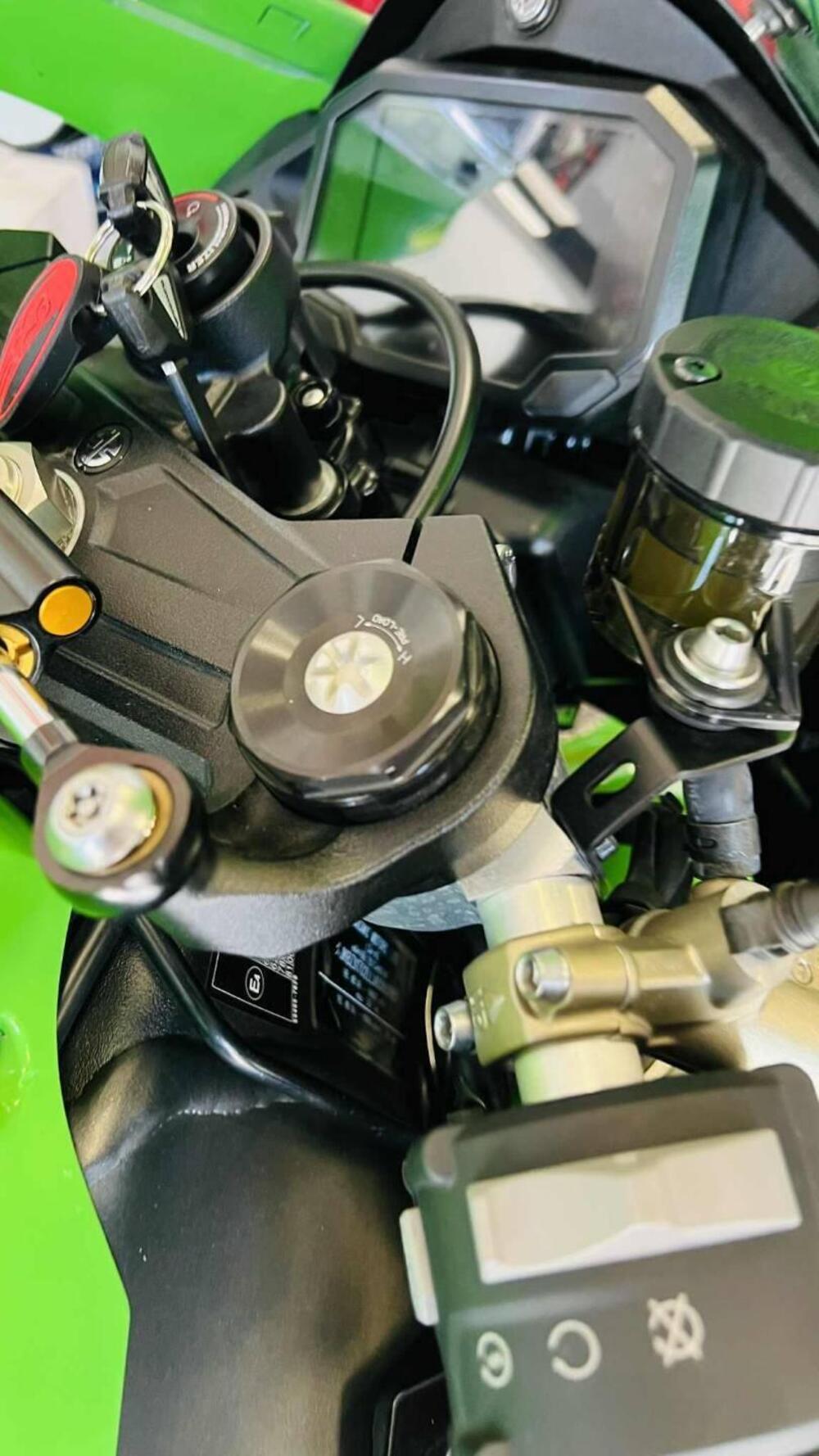 Kawasaki Ninja 1000 ZX-10R (2021 - 25) (12)