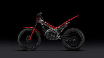 Betamotor Sincro 300