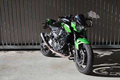 Kawasaki Z 400 (2019 - 20) usata