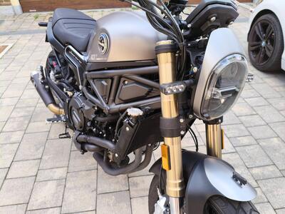 Benelli Leoncino 800 (2022 - 25) usata