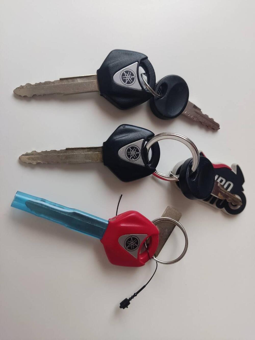 Yamaha FJR 1300 A (2006 - 12) (20)