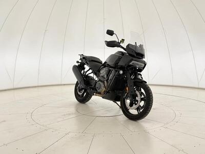 Harley-Davidson Pan America 1250 (2020 - 25) usata