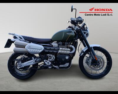 Triumph Scrambler (2006 - 17) usata