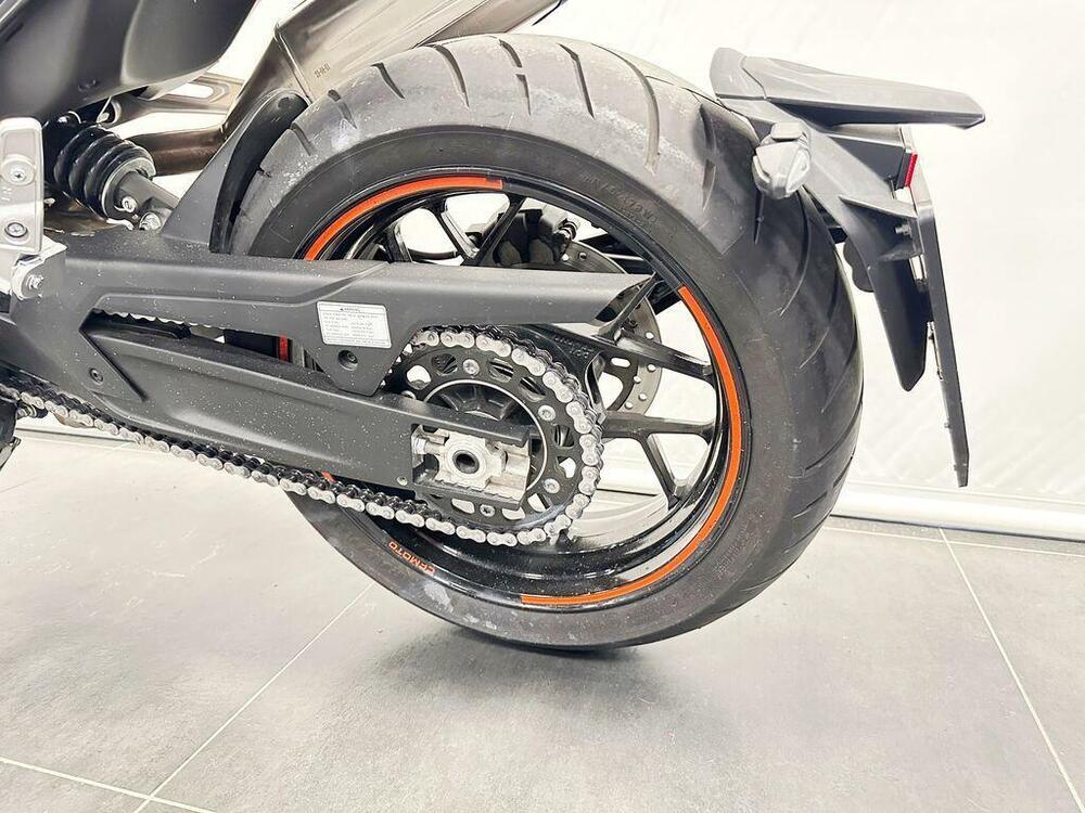 CFMOTO 800NK Sport (2023 - 26) (7)