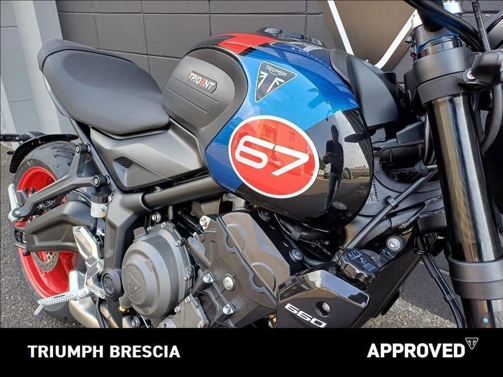 Triumph Trident 660 Triple Tribute Edition (2025) (5)