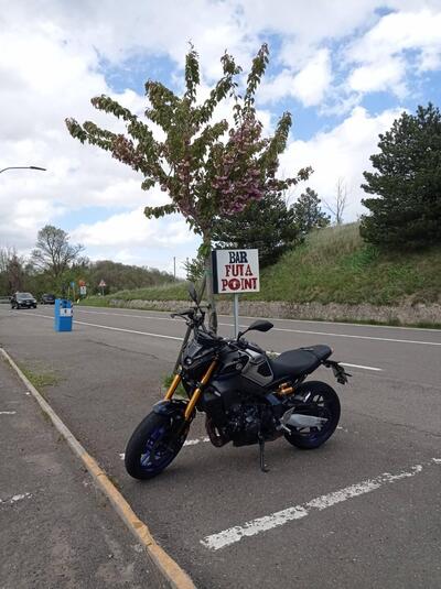 Yamaha MT-09 SP (2021 - 23) usata